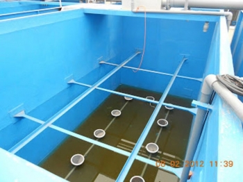 Nhựa composite có độc không